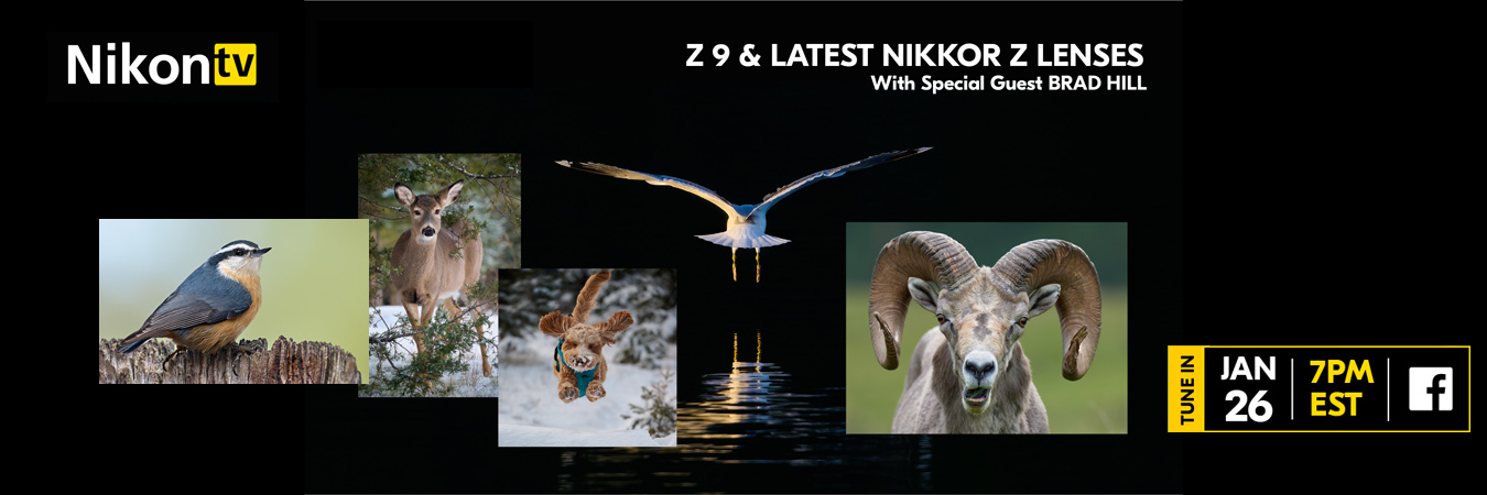 NikonTV: The Z 9 and New Z Lenses
